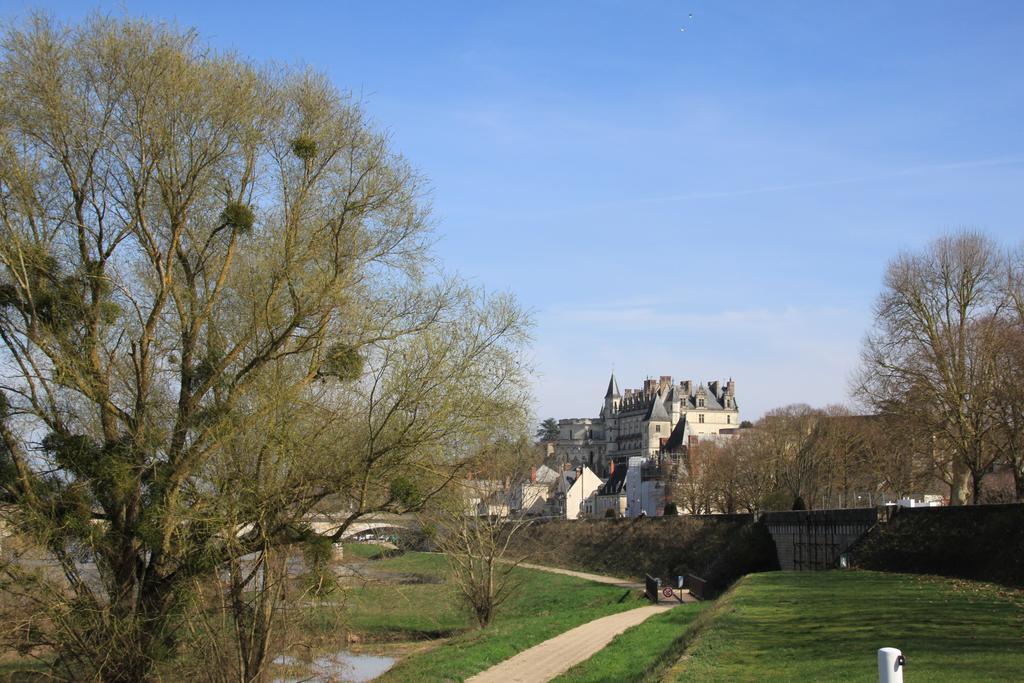 Sur Les Toits D'Amboise Apartment Ngoại thất bức ảnh