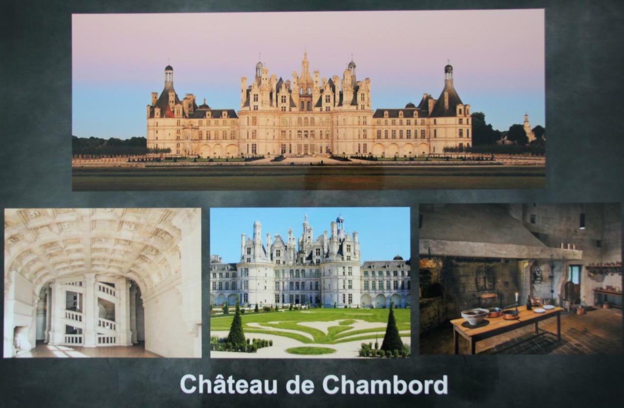 Sur Les Toits D'Amboise Apartment Ngoại thất bức ảnh